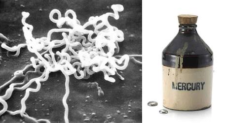 Venus y Mercurio Venus y Mercurio