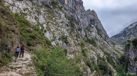 RUTA al CUETO DEL TRAVE NORTE desde PONCEBOS, Cabrales Subiendo por la Canal del Texu a Bulnes