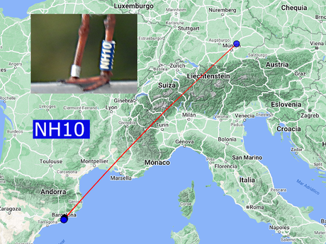 Gaviota reidora NH10