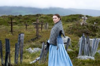 Ya se conocen los largometrajes participantes en la sección oficial de la 70 edición del festival de San Sebastian Ya se conocen los largometrajes participantes en la sección oficial de la 70 edición del festival de San Sebastian