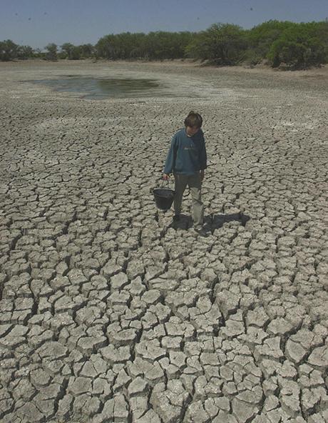 La Victoria del Dólar Veneno