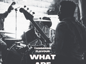 Tangerine flavour: toma