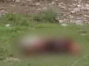 Localizan cadáver Villa Reyes atrás Ciudad Maderas