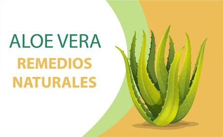 PROPIEDADES Y REMEDIOS NATURALES CON ALOE VERA