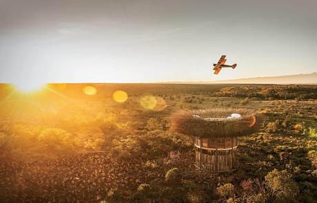 ESPECIAL SAFARIS DE LUJO 2023 ESPECIAL SAFARIS DE LUJO 2023