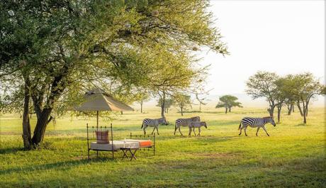 ESPECIAL SAFARIS DE LUJO 2023 ESPECIAL SAFARIS DE LUJO 2023