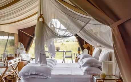 ESPECIAL SAFARIS DE LUJO 2023 ESPECIAL SAFARIS DE LUJO 2023