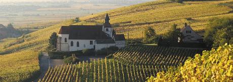 6 vinos para una cata de verano. Champagne, Jura, Alsacia, Chablis, Ribeira Sacra y Rioja.