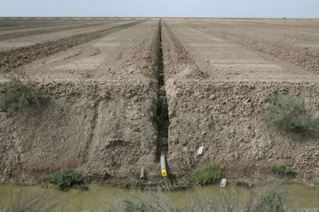 Final del verano y nuevos equipamientos de irrigación Final del verano y nuevos equipamientos de irrigación