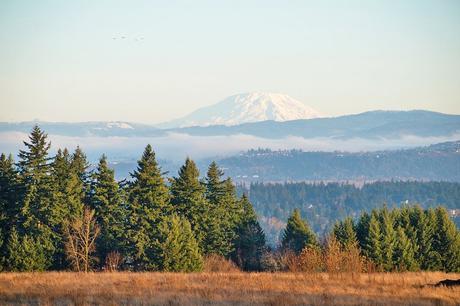 11 mejores parques en Portland, Oregón