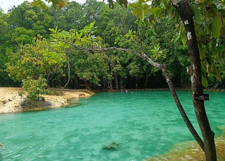 emerald-pool-krabi