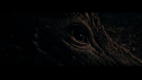 Animales fantásticos. Los Secretos de Dumbledore