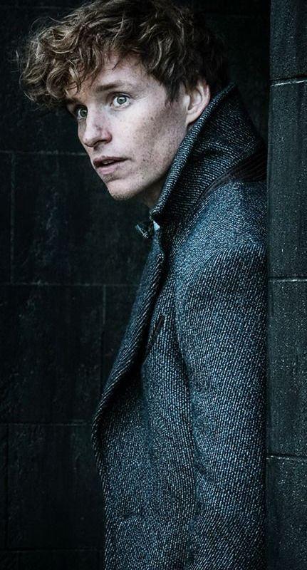 Todo lo que necesitas saber sobre la saga de Animales Fantásticos