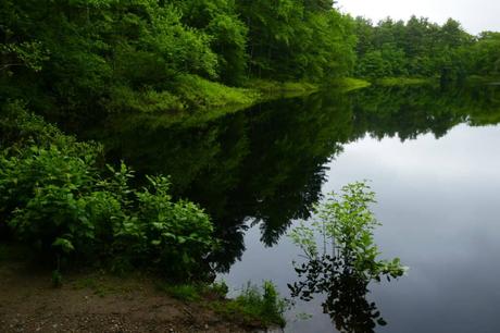 15 mejores cosas para hacer en Walpole (Massachusetts)