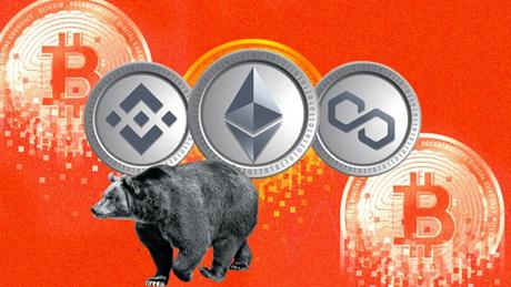 ¿Es buena idea invertir en Altcoins en un mercado bajista? ¿Es buena idea invertir en Altcoins en un mercado bajista?