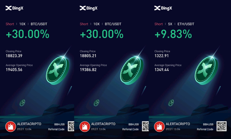 ¿Qué hacer en medio de un mercado bajista? 69% de profits en 5 min con Copy Trading de AlertaCripto en BingX