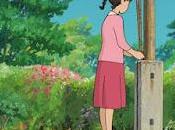 colina amapolas casa páramo