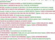 Feria Mascotas celebra este domingo Camponaraya