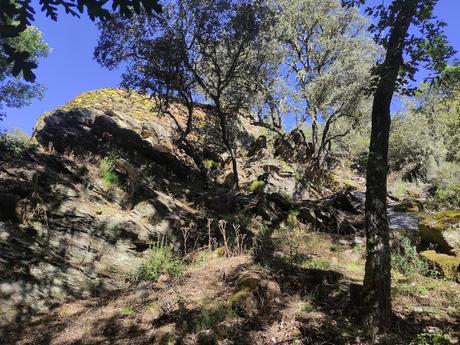 Ruta del hierro en Sancedo. Un paseo por los cortines y las minas de hierro escondidas en el Bierzo 8 Ruta del hierro en Sancedo. Un paseo por los cortines y las minas de hierro escondidas en el Bierzo 8