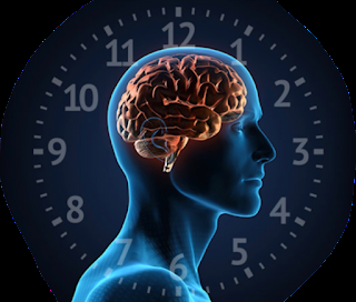 Cronobiología y medicina circadiana Cronobiología y medicina circadiana