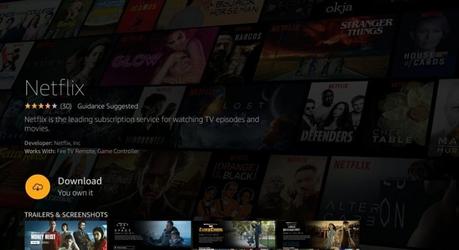 Netflix en Firestick
