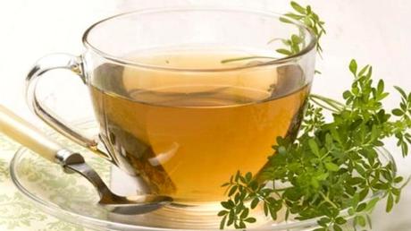 10 Beneficios de la ruda sorprendentes para tu salud Infusion de ruda