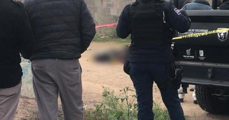 Localizan dos cuerpos descuartizados en el Fraccionamiento Las Mercedes