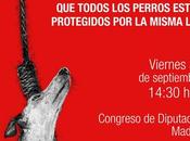 Todos perros protegidos, concentración Madrid
