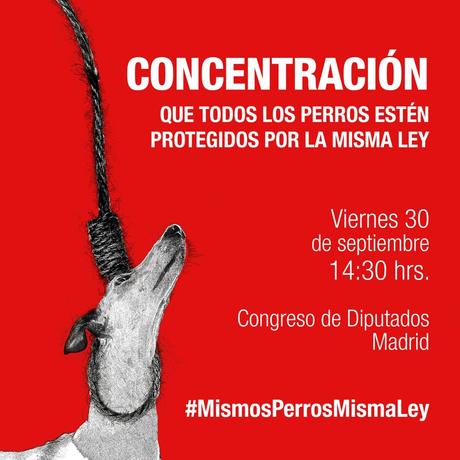 concentracion madrid