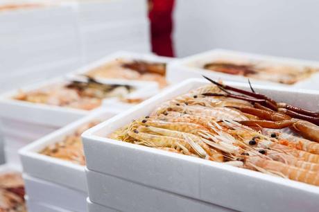 Tres consejos para preparar marisco congelado correctamente con Mariscos Apolo Tres consejos para preparar marisco congelado correctamente con Mariscos Apolo