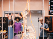 Nueva barra escucha, system, abre carnicería norte londres