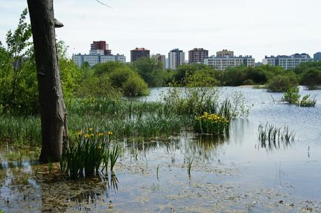 Qué ver y hacer en Vitoria-Gasteiz Qué ver y hacer en Vitoria-Gasteiz