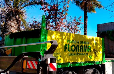 PODAS FLORAMA: podar los árboles en otoño es un gesto de respeto a las plantas y a las personas