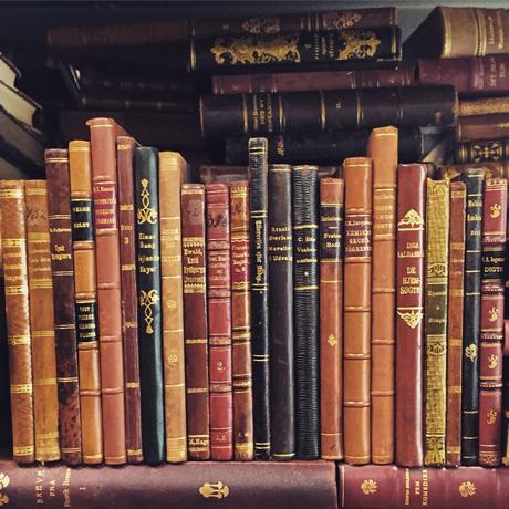 Thin and gorgeous leather bound books. | Book decor, Antique books, Leather  bound books
