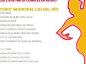 Festival Academias baile flamenco Ciudad Hermanas