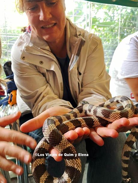 Elena sosteniendo una culebra en el Parque de la VIda