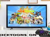 Cómo transmitir Nicktoons Roku [Possible Ways]