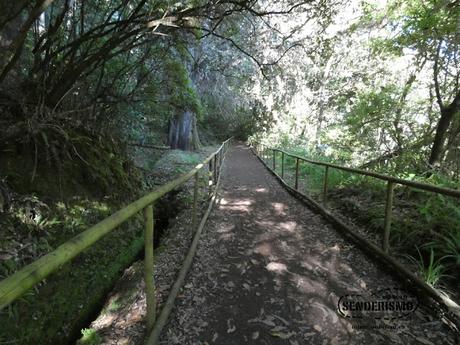 Parque Forestal das Queimadas Parque Forestal das Queimadas