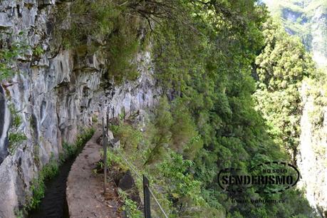 Parque Forestal das Queimadas Parque Forestal das Queimadas