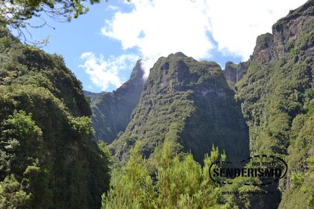 Parque Forestal das Queimadas Parque Forestal das Queimadas