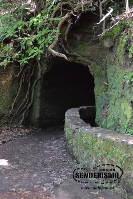 Parque Forestal das Queimadas Parque Forestal das Queimadas