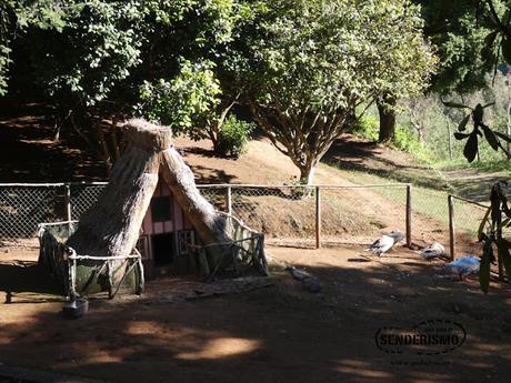 Parque Forestal das Queimadas Parque Forestal das Queimadas