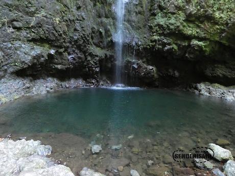 Parque Forestal das Queimadas Parque Forestal das Queimadas