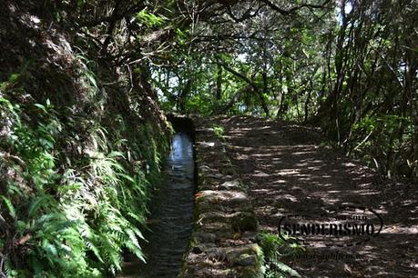 Parque Forestal das Queimadas Parque Forestal das Queimadas