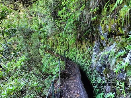 Parque Forestal das Queimadas Parque Forestal das Queimadas