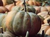 vida calabazas