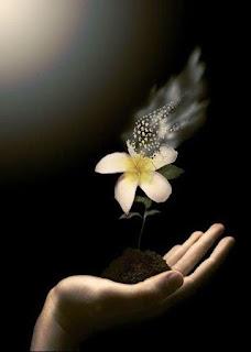 5.237 - UNOS LATIDOS...