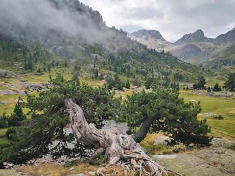 Ruta de la Marmota (día 2) Pirineo oscense