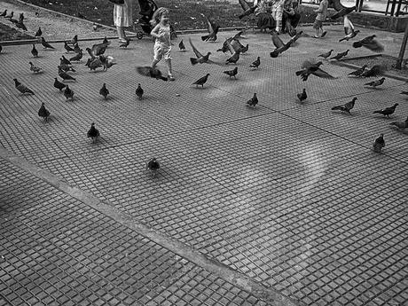 Nena corriendo palomas en el parque