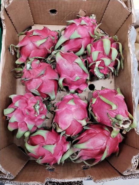 pitaya o fruta del dragón